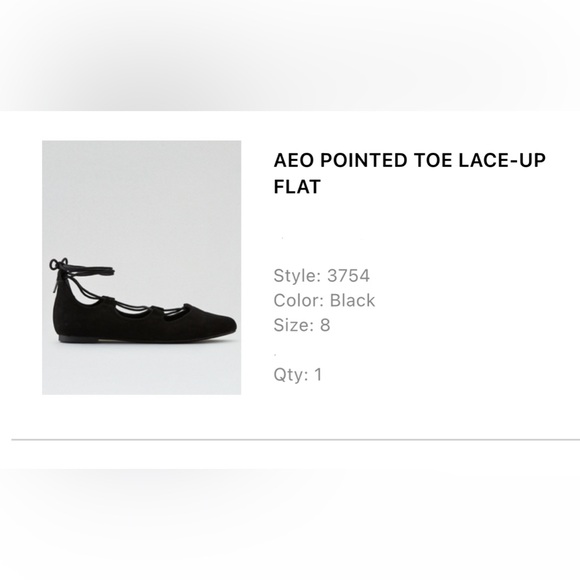 American Eagle Outfitters Pointed Toe Lace-Up Flats - Picture 6 of 10